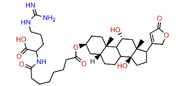 3-(N-Suberoyl argininyl)-sarmentogenin